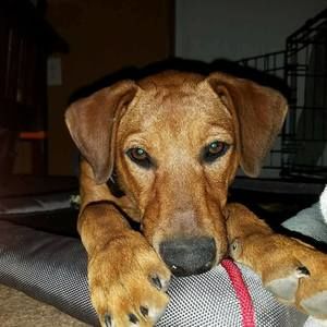 Meet your Posher, Mark